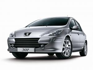 Peugeot 307 Hatchback 2009 года